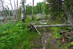 shell lake portage