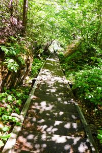 stairway portage going down