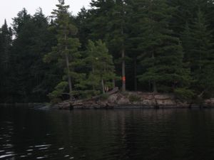IMG_2030.JPG