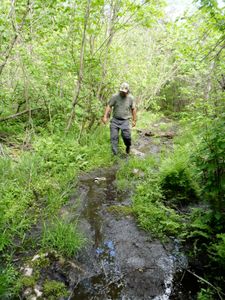 Bottle Portage