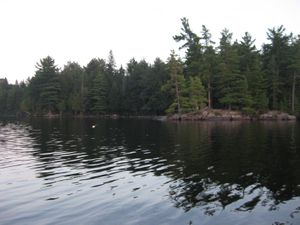 IMG_2031.JPG