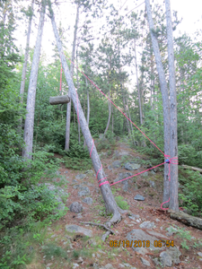 Campsite #2040