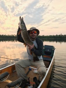 Nice pike