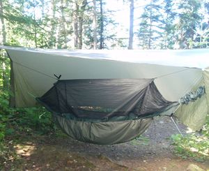 Hammock Knife Lake Site 1255 Sept 2015