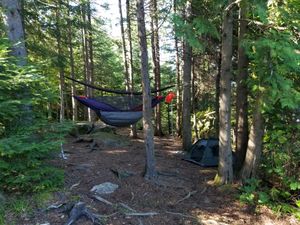 Hammock Hang/Dog Tent