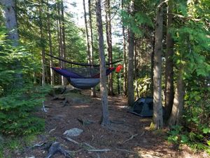 Hammock Hang/Dog Tent