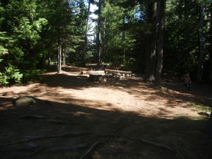 Campsite 849