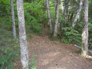 Campsite 844