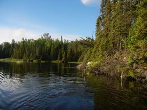 Kelso River