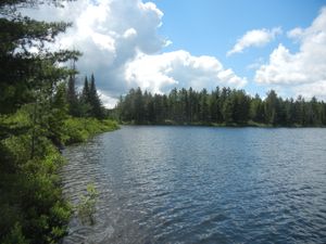 Campsite 859