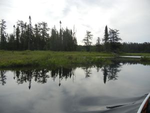 Lujenida Creek