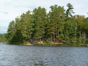 View of Campsite