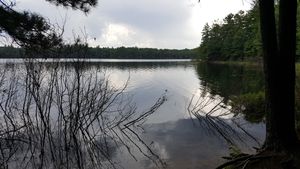 Lost Canoe Portage Landing