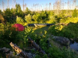 Campsite in the burn area