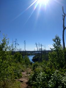 Viewing Insula from portage to Hudson