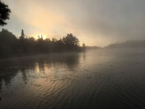 Foggy sunrise