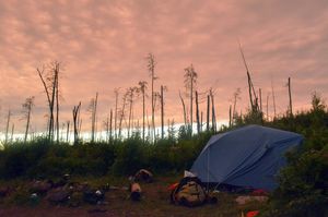 Sunset in the Burn Zone