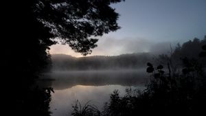 AP201809-20.jpg