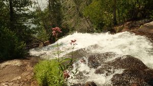 Top of the falls