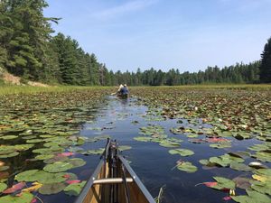 Channel to Jeff Lake