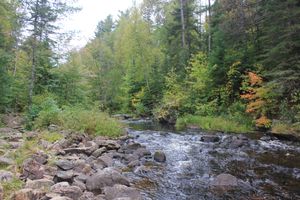 IMG_3745.JPG