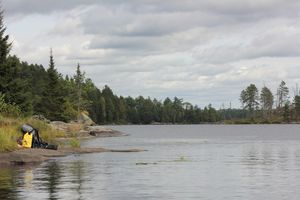 IMG_3781.JPG