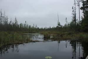 IMG_3985.JPG