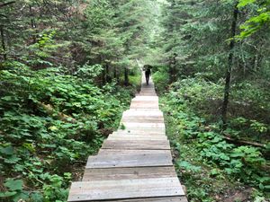 Portage