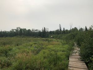 Portage