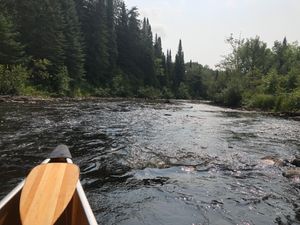 Low water during English Rapids