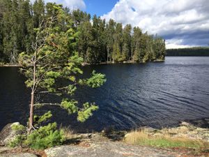 IMG_4748.JPG