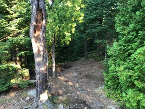 Tent Pad 1 (West)