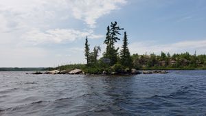 BWCA Sign