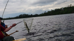 Willie's 1st fish
