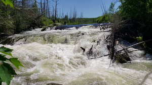 Jasper Falls