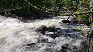 Jasper falls 2