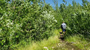 Portage into KingFisher