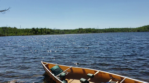 Kingfisher Lake