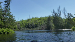 Looking For Portage