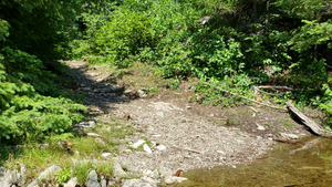 Portage out of Annie