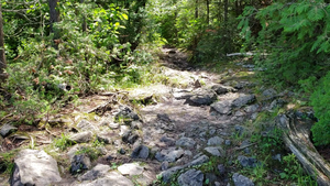 Portage out of Annie into Jenny
