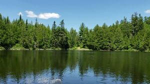 Portage out of Jenny into Eddy