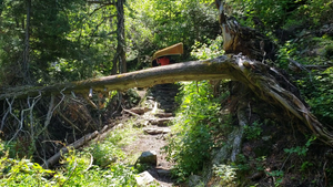 Portage out of Jenny into Eddy 1