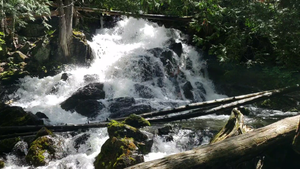 Biggest Falls Ive seen in the BWCA