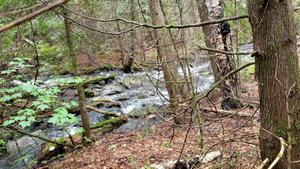 Portage into Amoeber