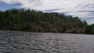 Storm Damage