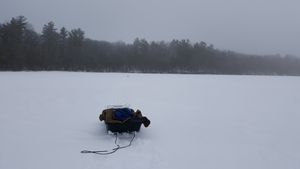 Foggy Fishing