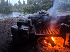 Fire grate views
