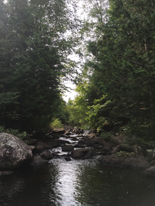 Small rapids by portage