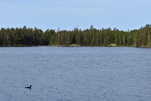 Day 11-Quetico Lake